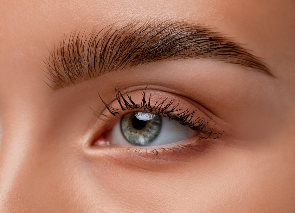 Professional Brow Lamination